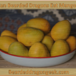 Can Bearded Dragons Eat Mango? Facts & FAQ beardeddragongeek.com