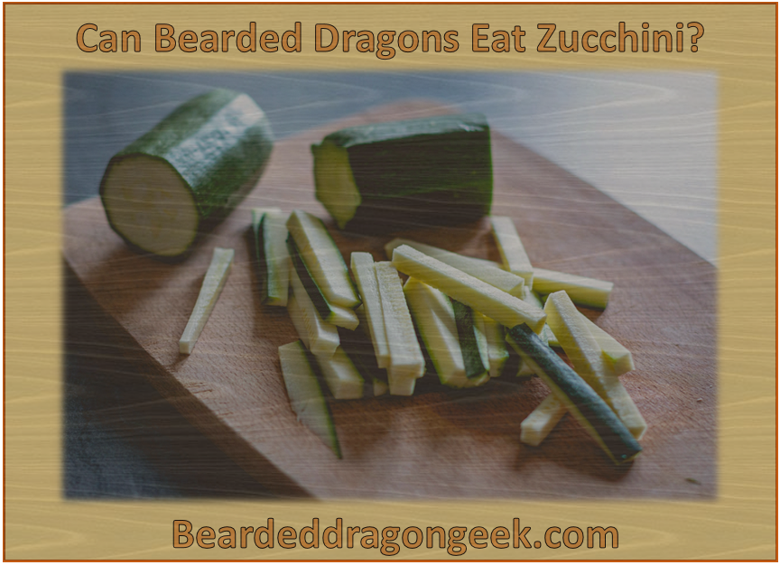 Can Bearded Dragons Eat Zucchini? beardeddragongeek.com