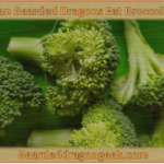 can bearded dragons eat broccoli? beardeddragongeek.com